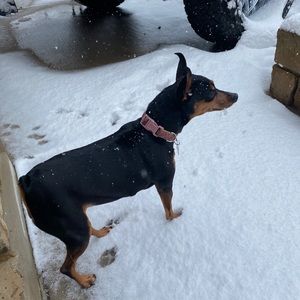 Meet your Posher, Allison